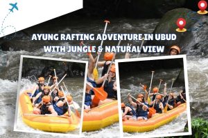 Ayung Rafting Adventure in Ubud with Jungle & Natural View
