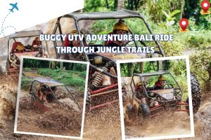 Buggy UTV Adventure Bali Ride Through Jungle Trails