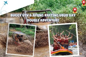 Buggy UTV & Ayung Rafting Ubud Day Double Adventure