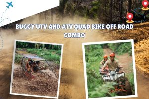 Buggy UTV and ATV Quad Bike Off Road Combo