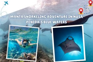 Manta Snorkeling Adventure in Nusa Penida’s Blue Waters