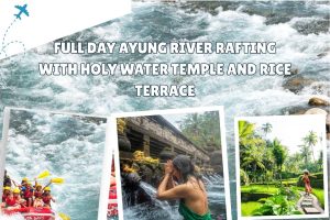 Full Day Ayung River Rafting with Holy Water Temple and Rice Terrace