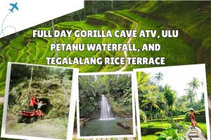 Full Day Gorilla Cave ATV, Ulu Petanu Waterfall, and Tegalalang Rice Terrace