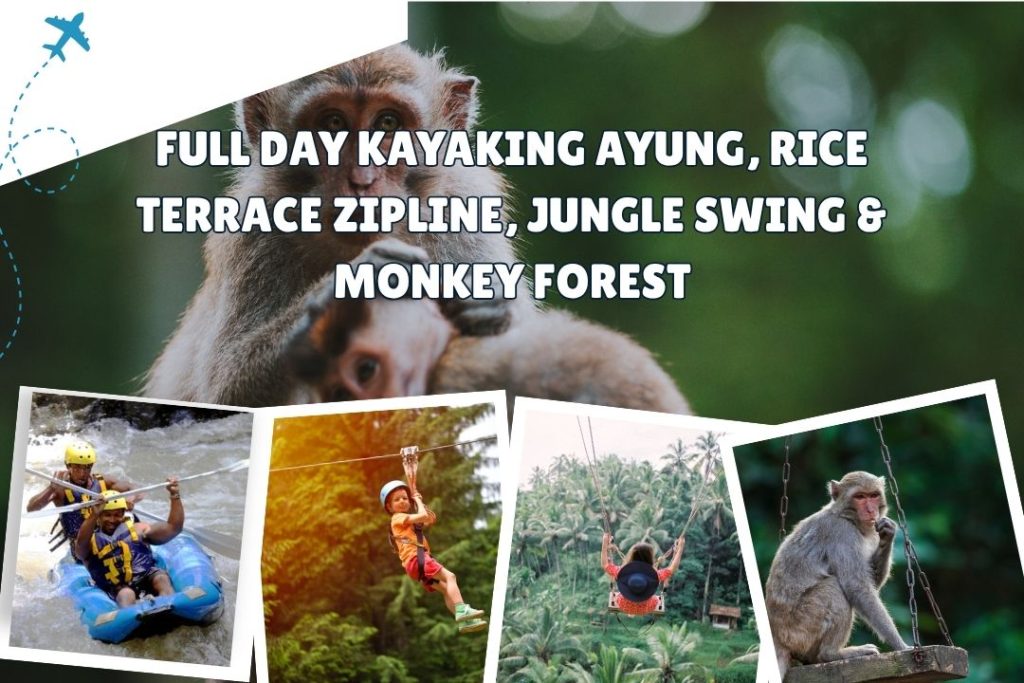 Full Day Kayaking Ayung, Rice Terrace Zipline, Jungle Swing & Monkey Forest