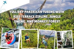 Full Day Pakerisan Tubing with Rice Terrace Zipline, Jungle Swing, and Monkey Forest