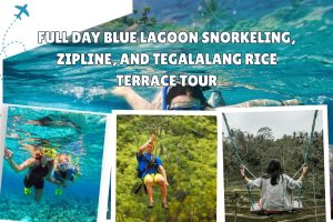 Full Day Blue Lagoon Snorkeling, Zipline, and Tegalalang Rice Terrace Tour