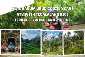 Alas Harum Ubud Gorilla Cave ATV with Tegalalang Rice Terrace, Swing, and Zipline