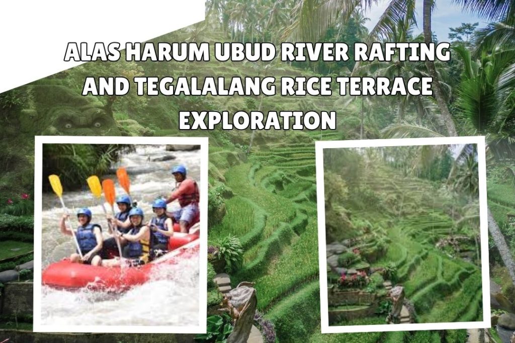 Alas Harum Ubud River Rafting and Tegalalang Rice Terrace Exploration