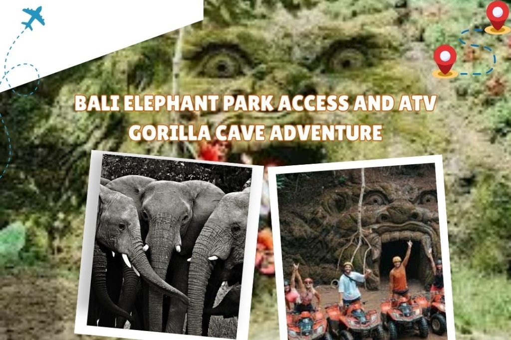Bali Elephant Park Access and ATV Gorilla Cave Adventure