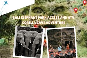 Bali Elephant Park Access and ATV Gorilla Cave Adventure
