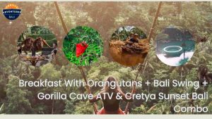 Breakfast With Orangutans + Bali Swing + Gorilla Cave ATV & Cretya Sunset Bali Combo