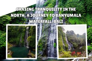 Chasing Tranquility in the North, a Journey to Banyumala Waterfall, Bali
