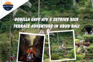 GORILLA Cave ATV & Skybike Rice Terrace Adventure in Ubud Bali