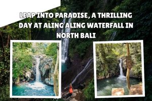 Leap Into Paradise, A Thrilling Day at Aling Aling Waterfall in North Bali