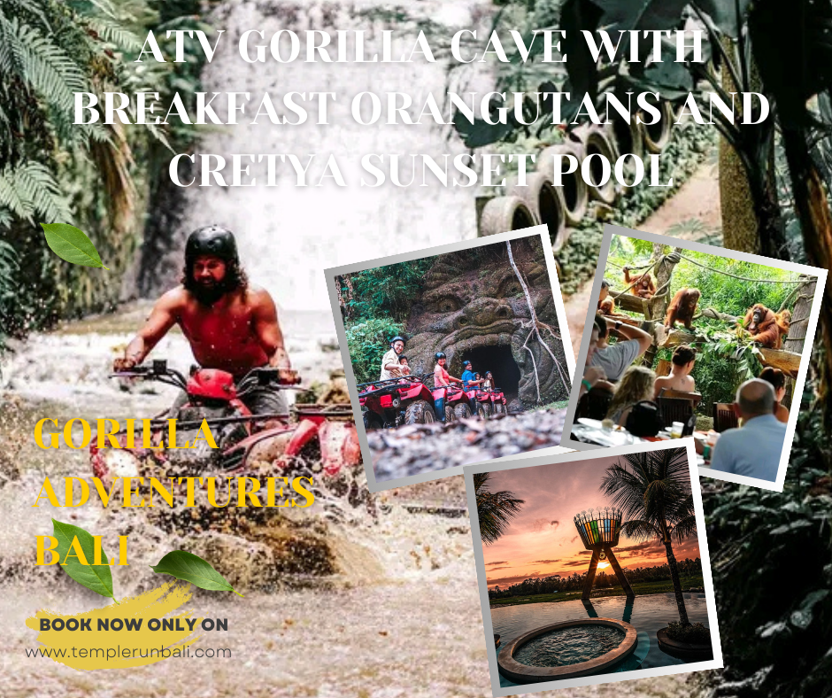 Ubud: Breakfast with Orangutans & Gorilla Cave ATV Ride Tour Packages