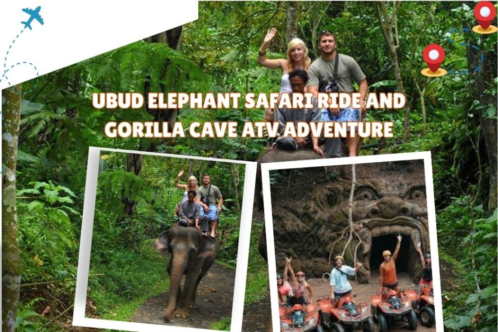 Ubud Elephant Safari Ride and Gorilla Cave ATV Adventure