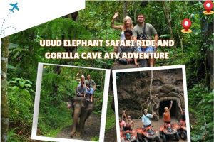 Ubud Elephant Safari Ride and Gorilla Cave ATV Adventure