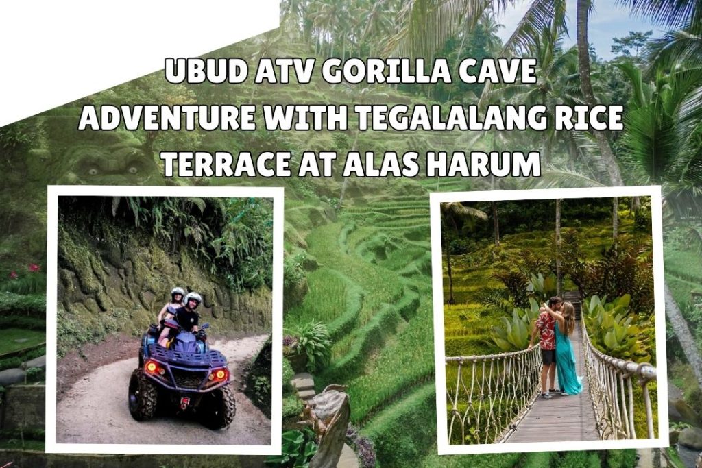 Ubud ATV Gorilla Cave Adventure with Tegalalang Rice Terrace at Alas Harum