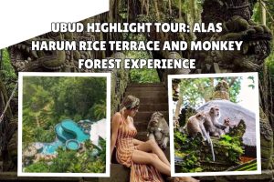 Ubud Highlight Tour: Alas Harum Rice Terrace and Monkey Forest Experience