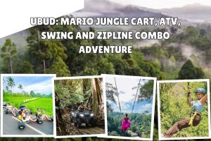 Ubud: Mario Jungle Cart, ATV, Swing and Zipline Combo Adventure