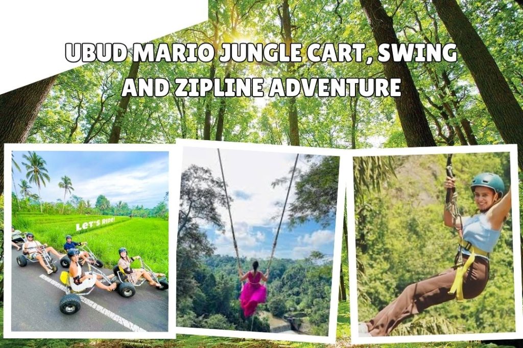 Ubud Mario Jungle Cart, Swing and Zipline Adventure