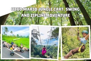 Ubud Mario Jungle Cart, Swing and Zipline Adventure