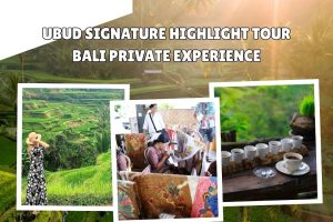 Ubud Signature Highlight Tour Bali Private Experience